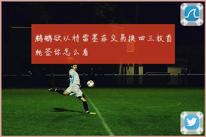 鹈鹕欲以特雷墨菲交易换回三枚首轮签你怎么看